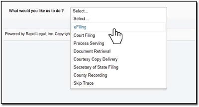 Place-eFiling-Order-Subsequent-Filings-RL-3